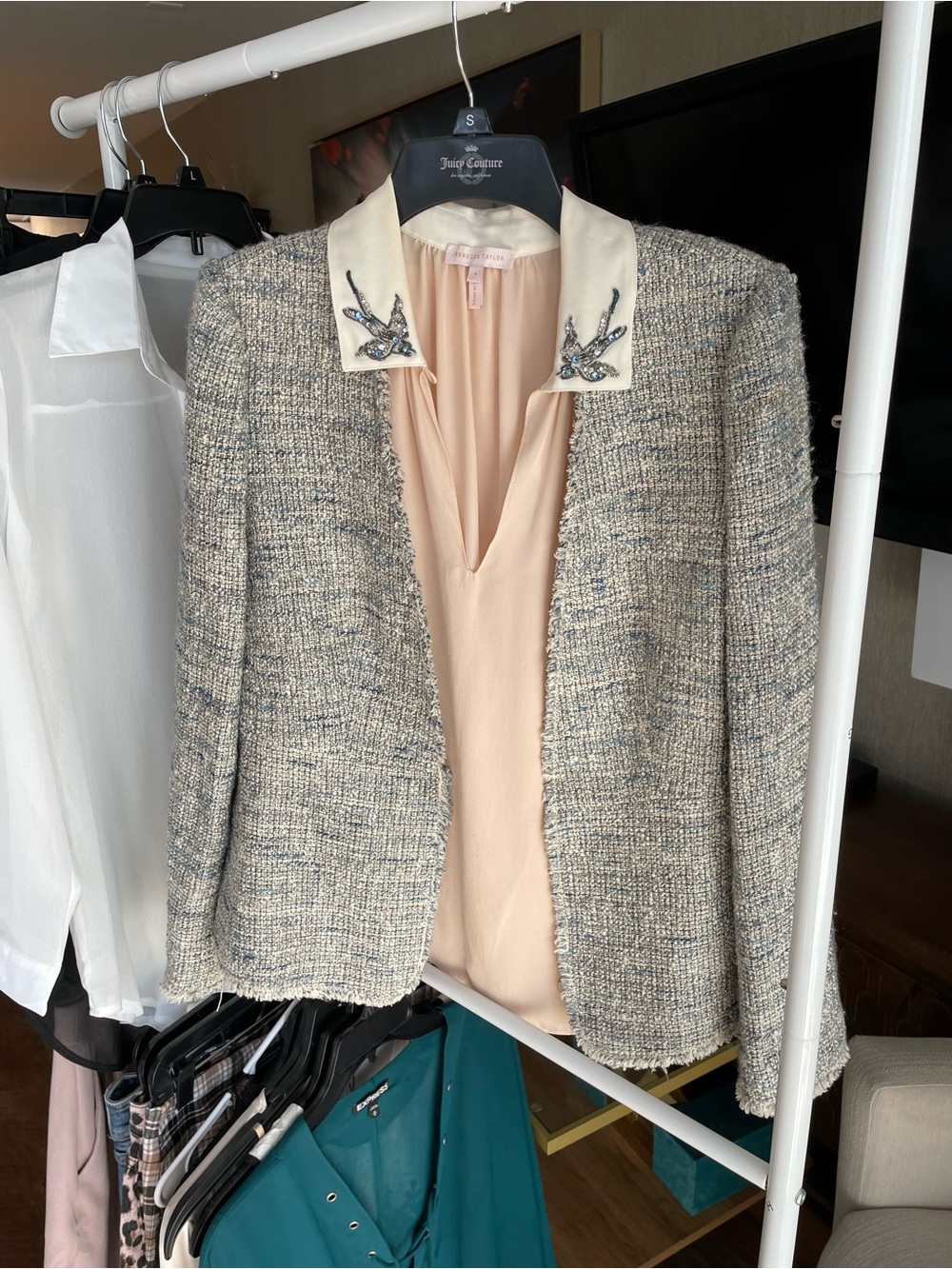Celebrity- and TV-Worn Rebecca Taylor Beaded-Collar Sleeveless Blush Blouse - Picture 13 of 16